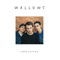 Wallows/The Feaver - All the Places