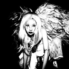 <REBORN> (LIKE A PHOENIX WING) ARTMS & NCCO