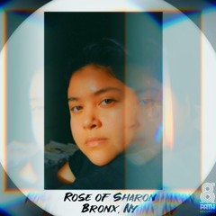 The 8th Path Radio #19 - Rose Of Sharon