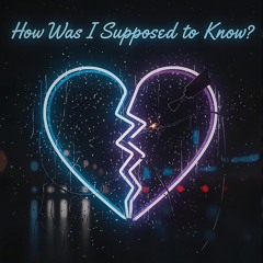 How Was I supposed to know? (Folk Singer/Songwriter Version)