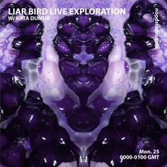 Liar Bird Live Exploration with Kata Dumur | Noods Radio