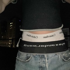 alexander wang remghost