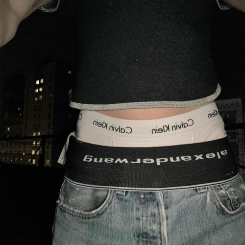 alexander wang remghost