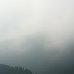 Whispering Nature Frequencies