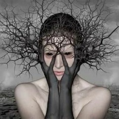 A Dark Embrace (Diary of Dreams Cover)Duet with Janna