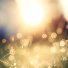 shimmering light