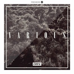 CNVX21 - VARIOUS EP - VARIOUS ARTISTS