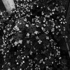 Ode To Darkness (Industrial)