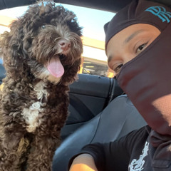 Finessin (Remix) -Bryan Monopoly-