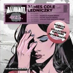 James Cole ft. Ledniczky - I'm Sorry (Peter Makto Remix)