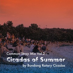 Vol.2 : Cicadas of Summer (by Bundang Rotary Cicadas)