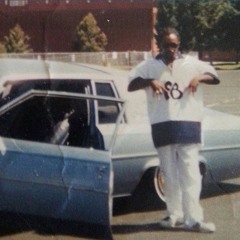 GORILLA PIMP II