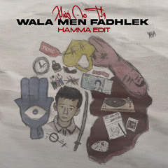 Wala Men Fadhlek - Hamma (Amapiano Edit)