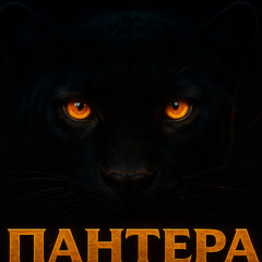 Черна пантера | Шумен 2025