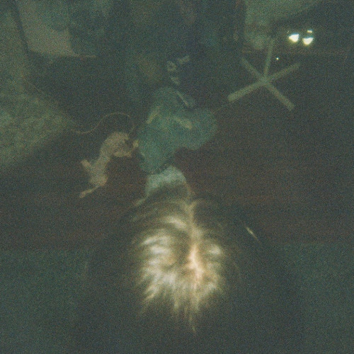 Chamber Of Reflection (Mac DeMarco Cover)