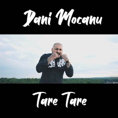Dani Mocanu - Tare Tare  Official Audio