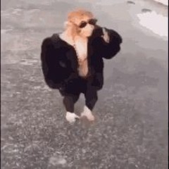 ａｌｅš   ｂｒｉｃｈｔａ   ｃｚｅｃｈｗａｖｅ 髪に真珠をつけた女の子