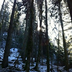 ꇙꄲꋊꍌꇙ ꓄ꄲ ꒒꒐ꇙ꓄ꏂꋊ ꓄ꄲ ꅐꁝ꒐꒒ꏂ ꁝ꒐ꍌꁝ