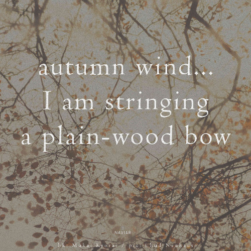 Autumn Wind (naviarhaiku563)