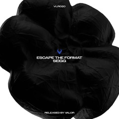 Seigg - Escape The Format [VLR020]