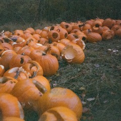 BENJEB - pumpkin brakes