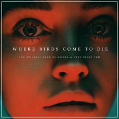 where birds come to die ft. They Found Tom