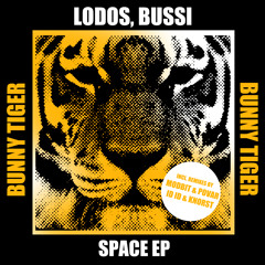 Lodos, Bussi - Spacesheep (Modbit, Povar Remix)