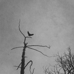 Unkneaded {prerelease version 012424}