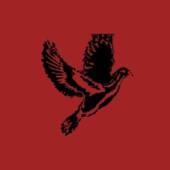 015 - Can A Rose Dream of Other Names?