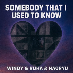 Gotye - Somebody That I Used To Know (WINDY &RUHA & NAORYU REMIX)