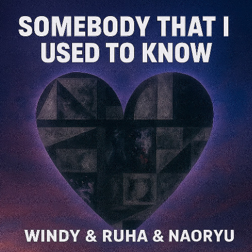 Gotye - Somebody That I Used To Know (WINDY &RUHA & NAORYU REMIX)