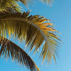 アルバニア・アウストラリア・コミュニティ・アルバニア語 rock background music - Free Download