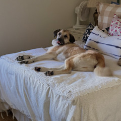 LOOS X SIDEWINDAH  (Sconner Mashup)