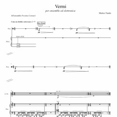Vermi, for ensemble and electronics (2020)