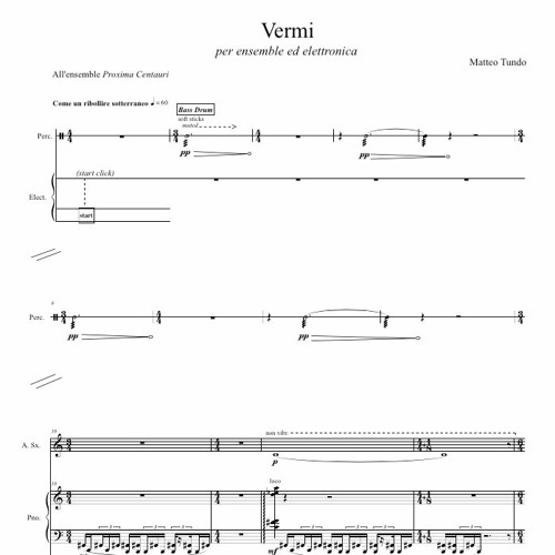 Vermi, for ensemble and electronics (2020)