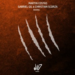 WLD025 - Martin Costas, Ganriel Gil, Christian Scorza, Connection MGC [Wild]