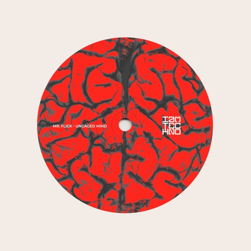 Mr. Flick - Uncaged Mind (Original Mix) [IAMTRAW] // Techno Premiere