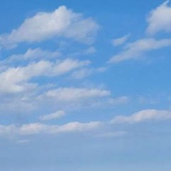 Skies