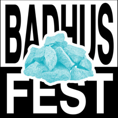 Mar 22, 2025 | BADHUS | Fest (Vinyl Set)