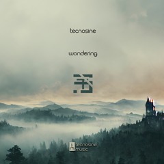 Tecnosine - Wondering