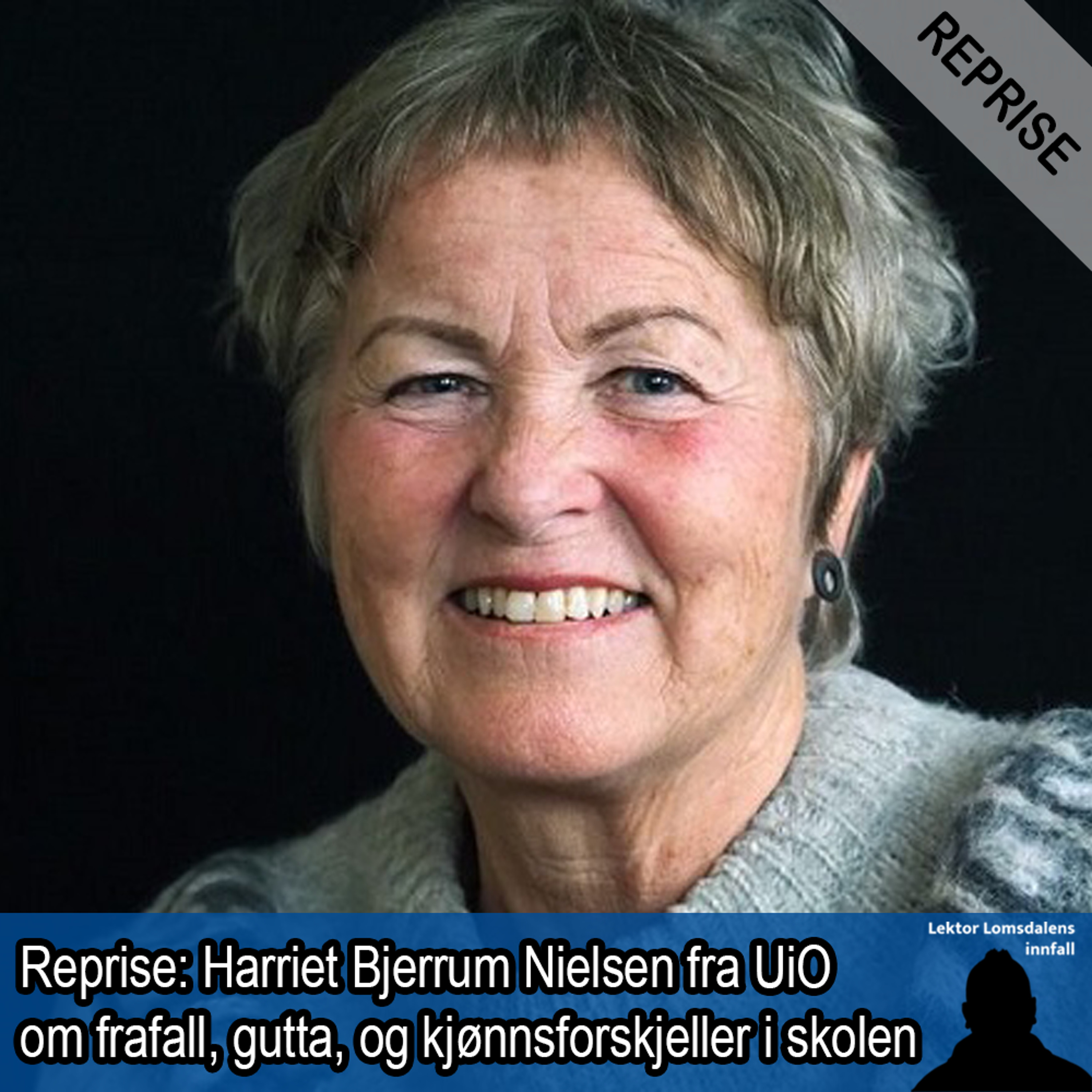 Lektor Lomsdalens innfall