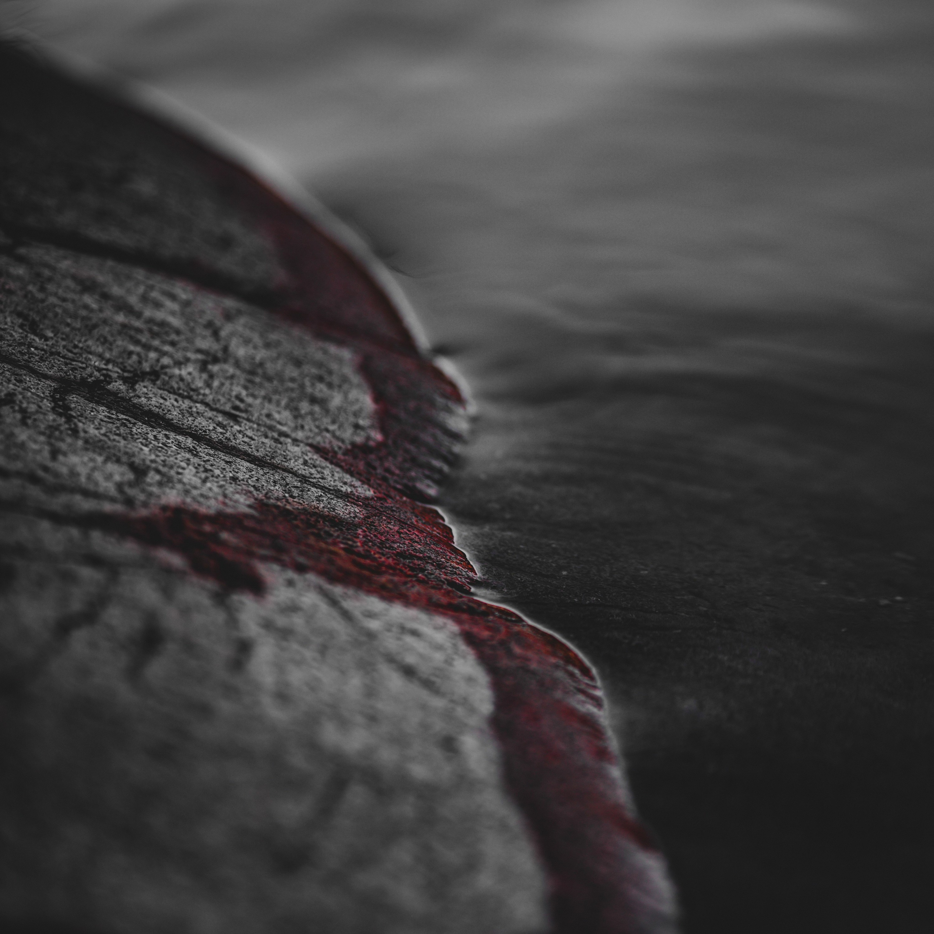Trusting In God's Value Of The Blood - Courtney Olson episode artwork