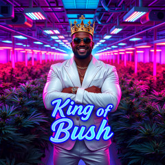 King of Bush