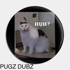 PUGZ - HUH?(Free dl in desc)