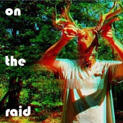 On the Raid