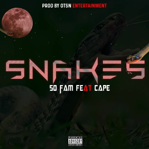 Snakes.mp3