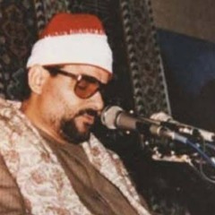فِيهِنَّ خَيْرَاتٌ حِسَانٌ الشيخ السيد متولي