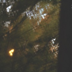 2025 8 10 1455