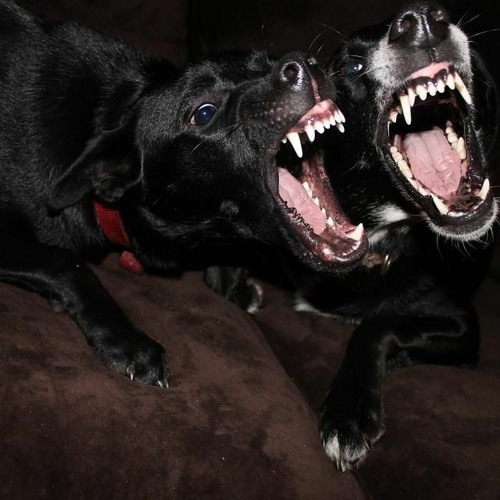 Underdog (prod. by Rxkz)