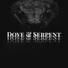 Dove & Serpent X Josh Frecks - Kick Push (DL By Marco Carola)